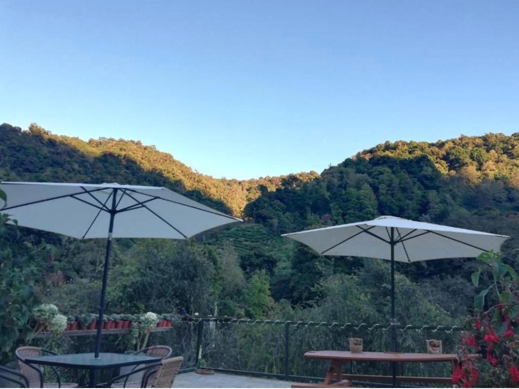 Cabana Tangara
